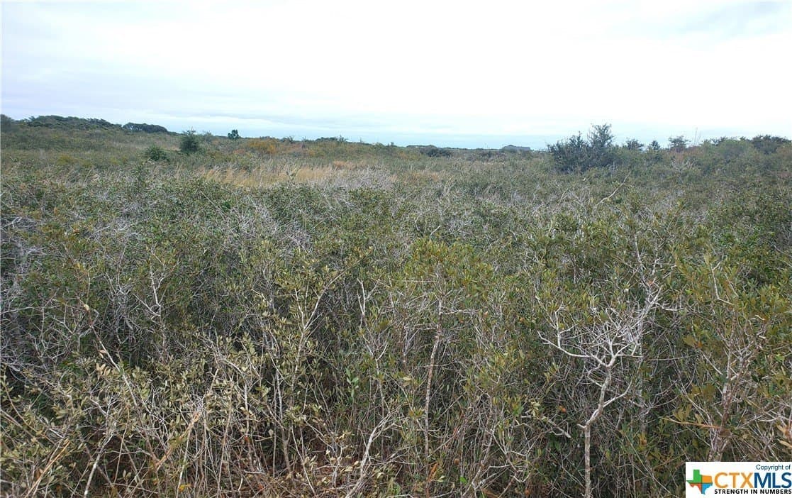 2 acres in Calhoun County - photo 5