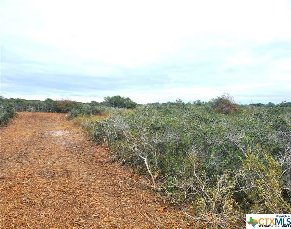 2 acres in Calhoun County - photo 2