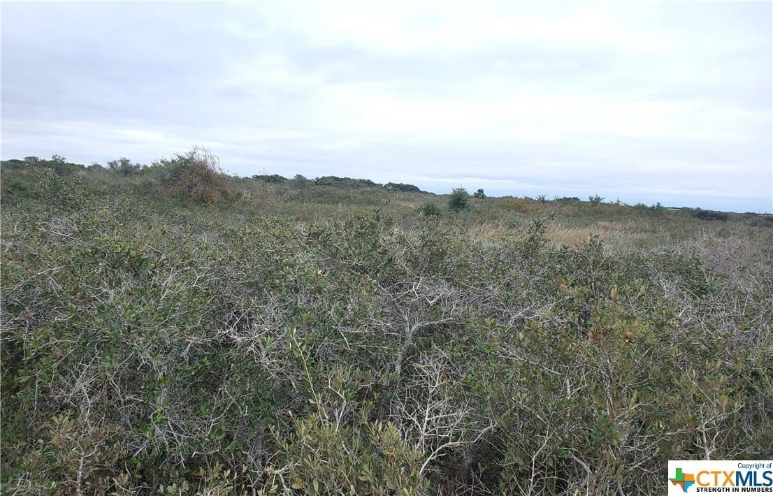 2 acres in Calhoun County - photo 7