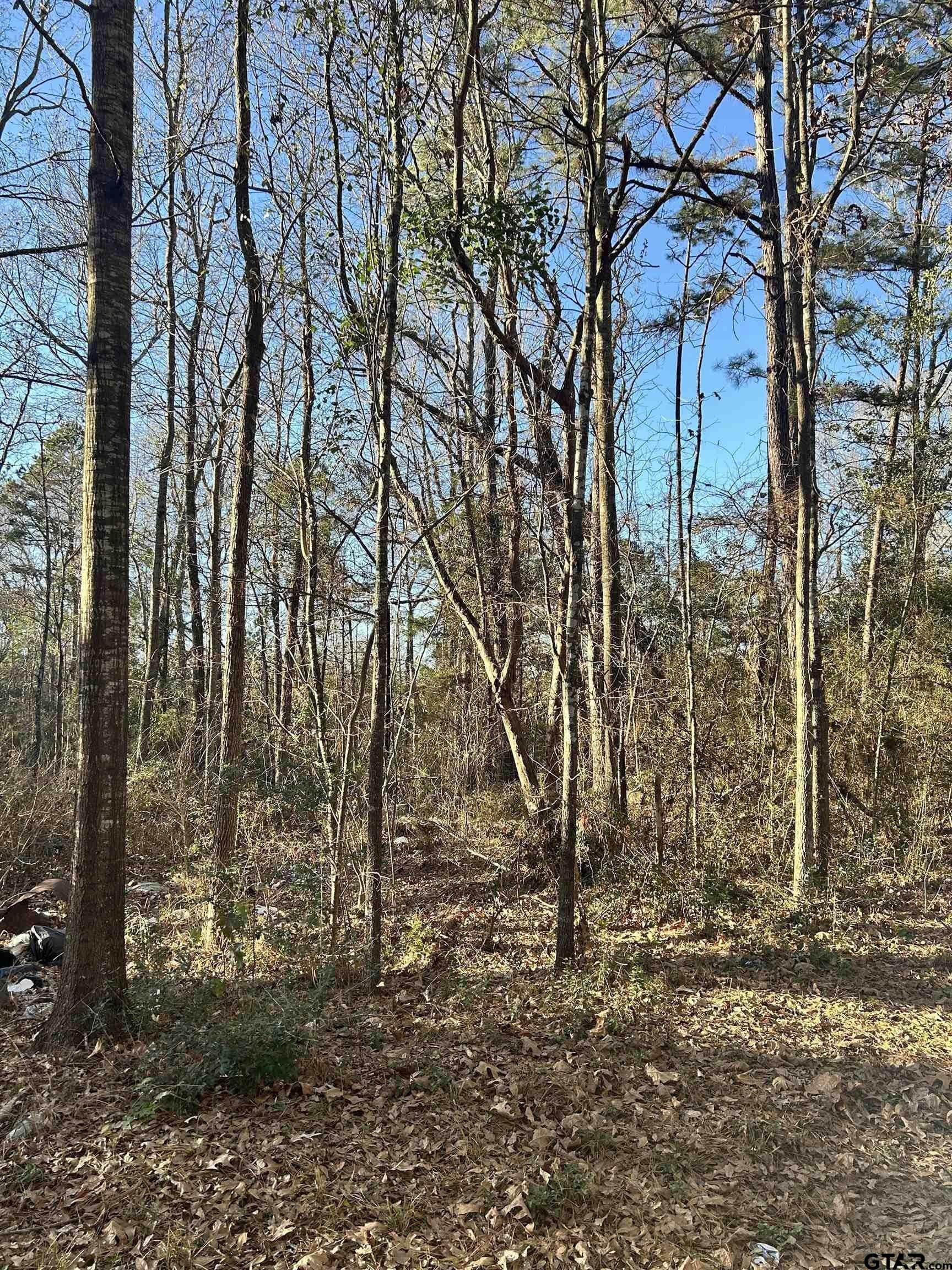 18 acres in Rusk County - photo 4