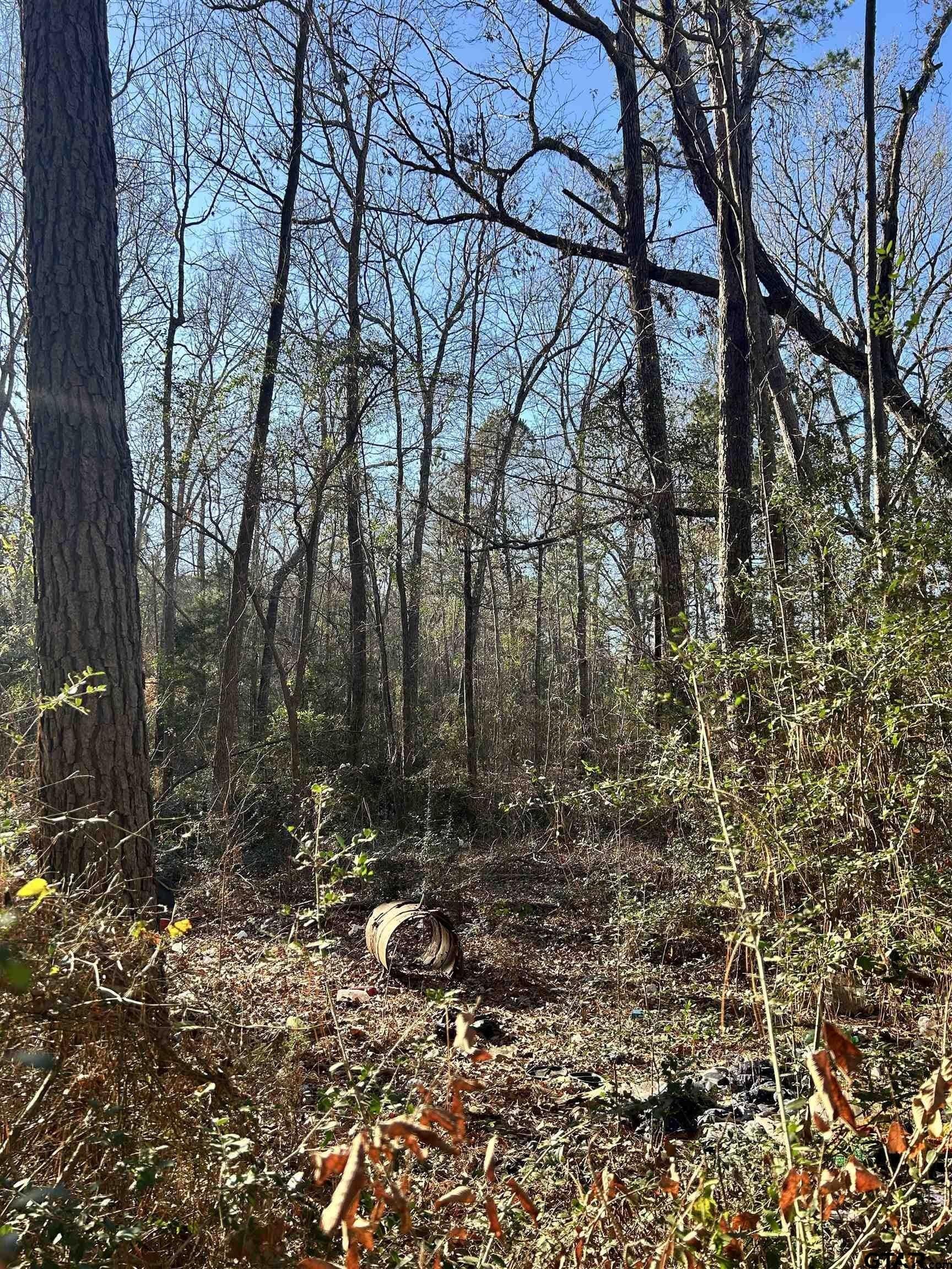 18 acres in Rusk County - photo 11