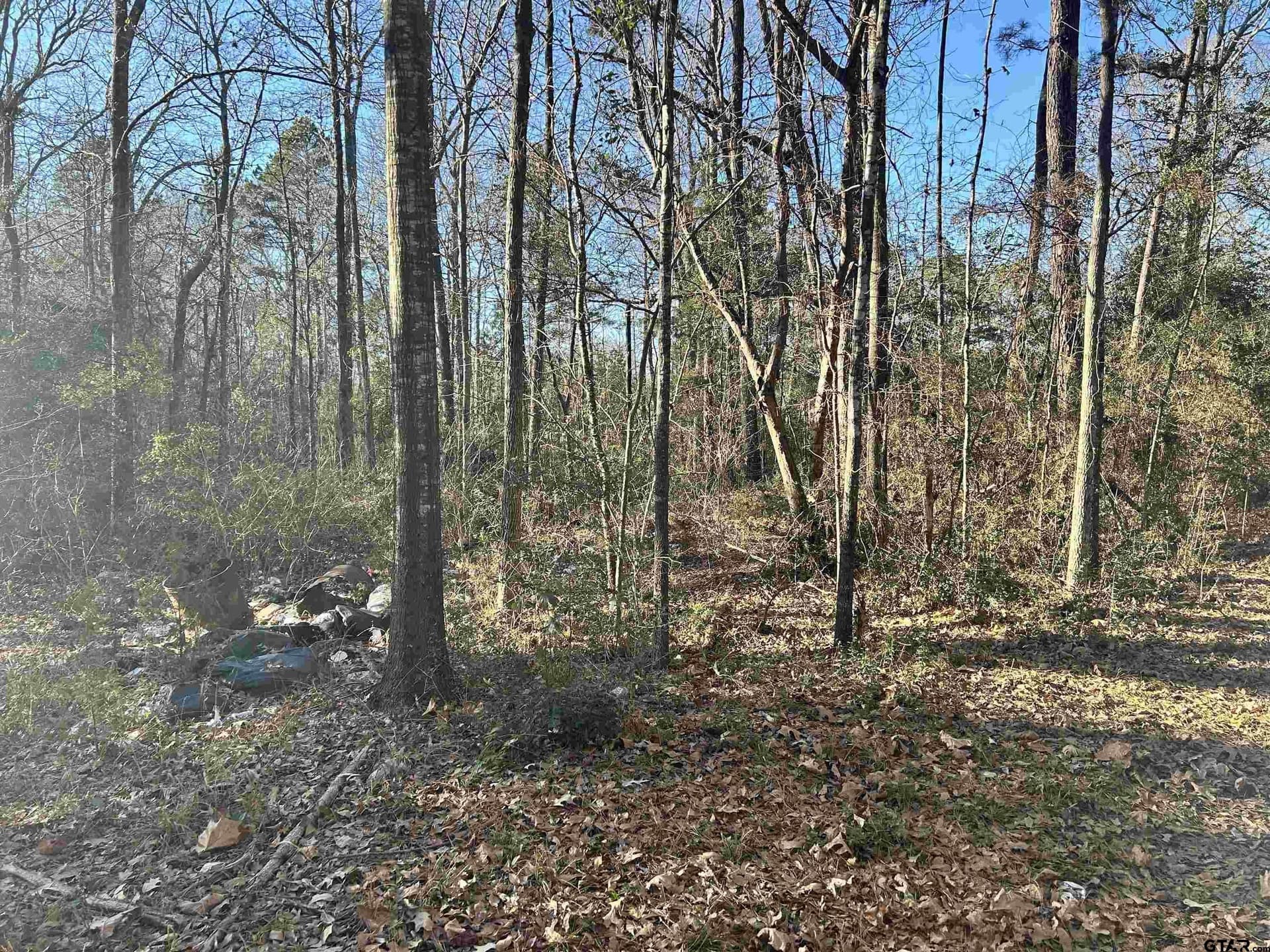 18 acres in Rusk County - photo 16