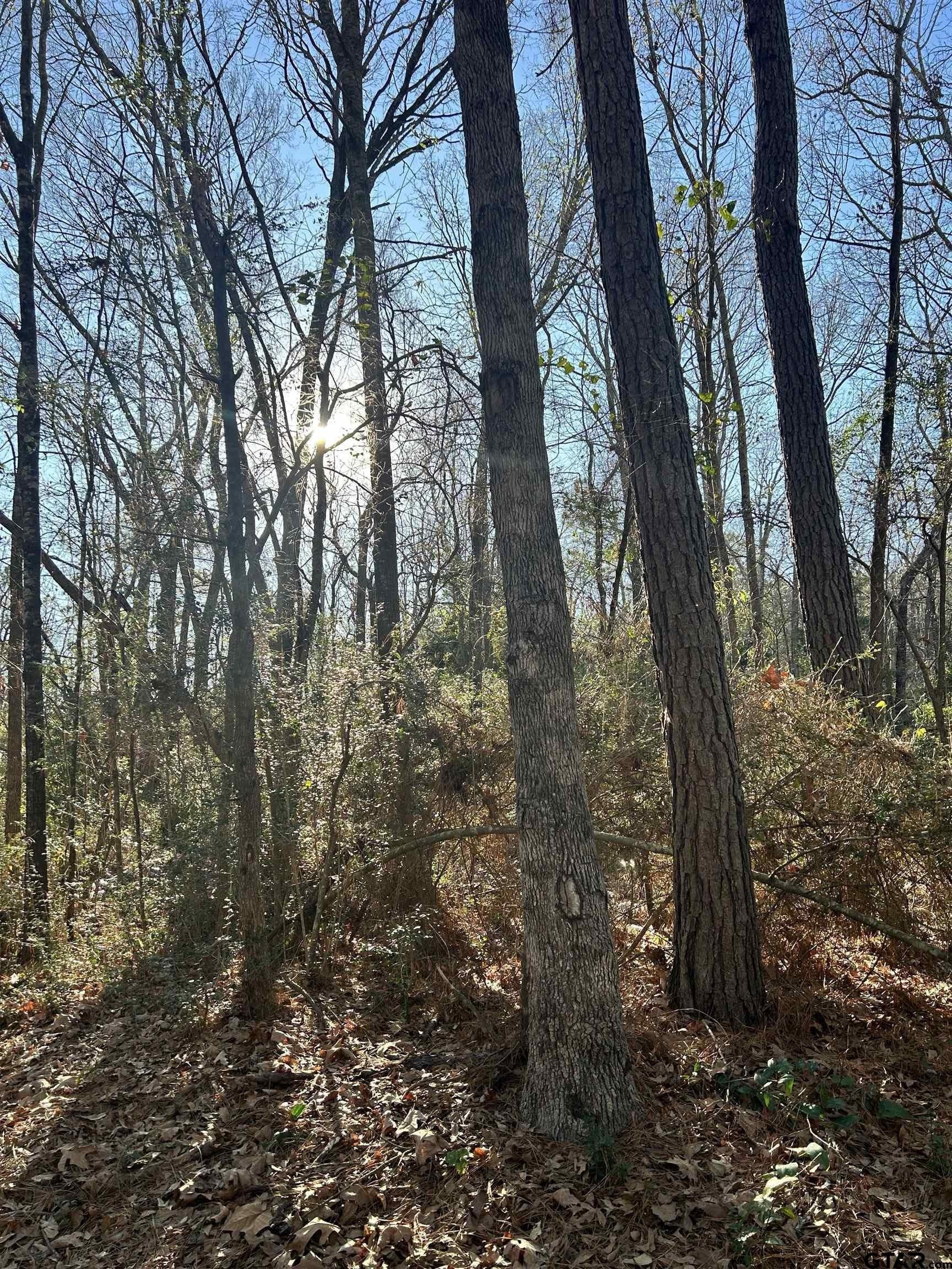 18 acres in Rusk County - photo 10