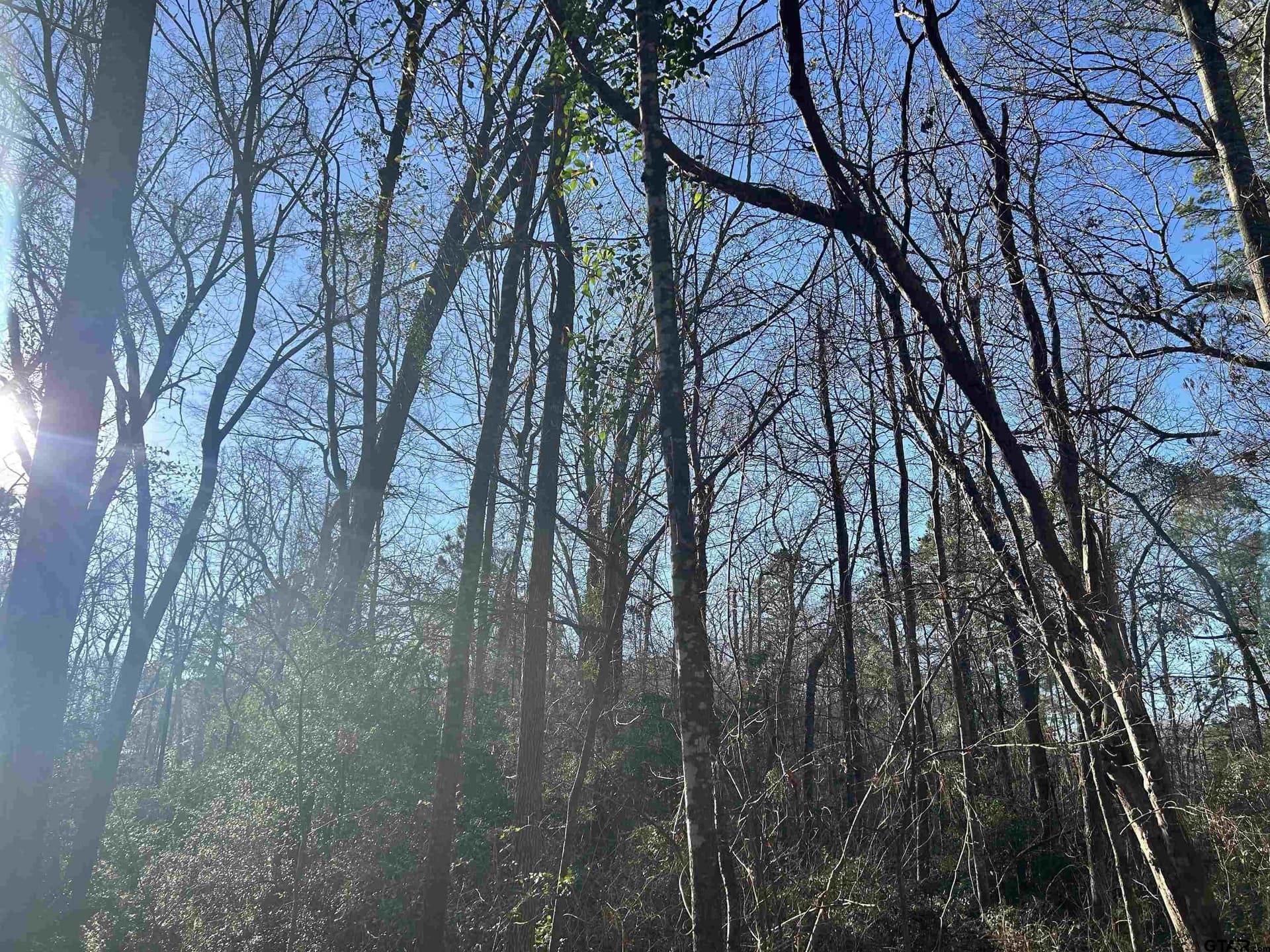 18 acres in Rusk County - photo 17