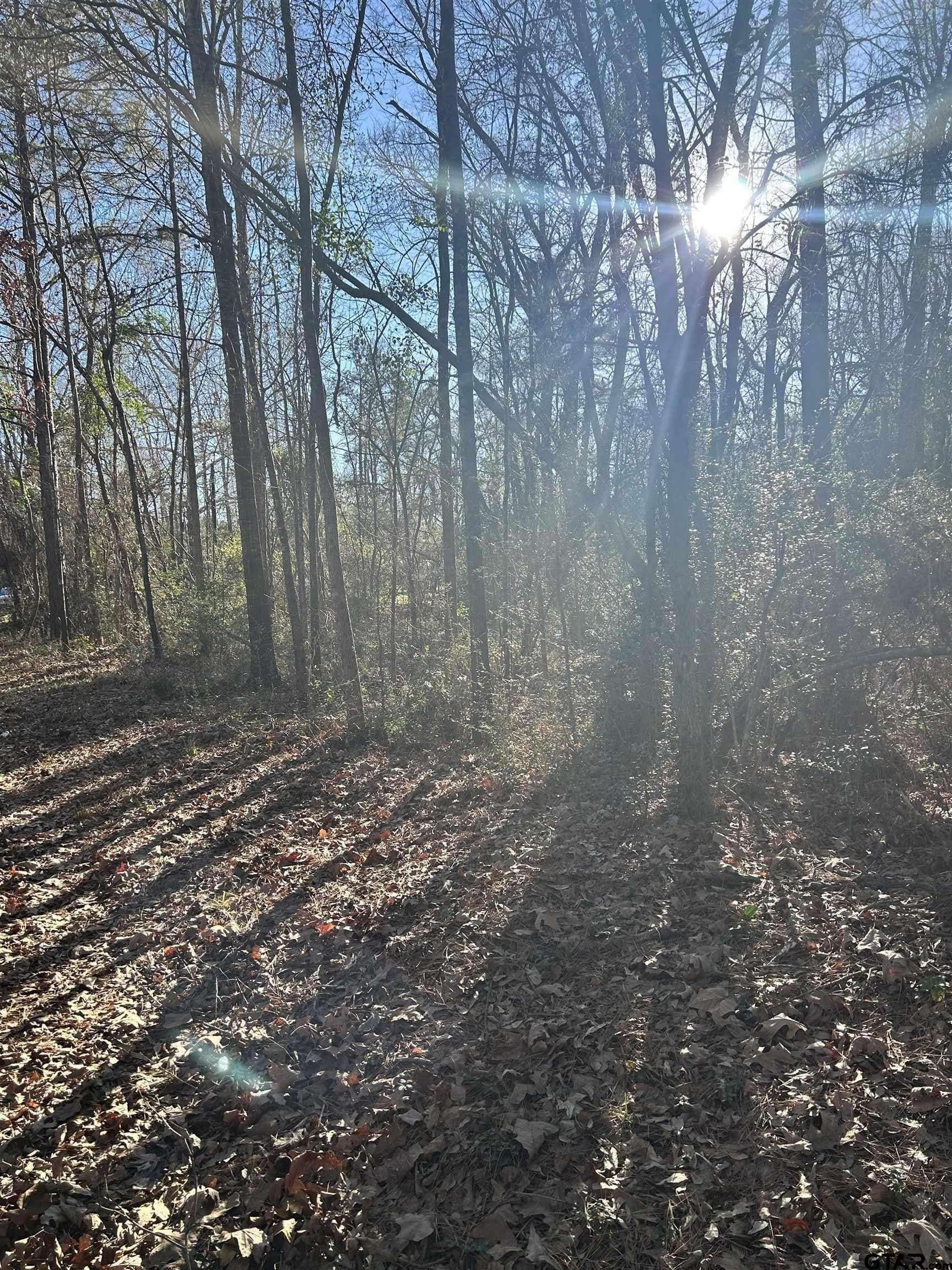 18 acres in Rusk County - photo 5