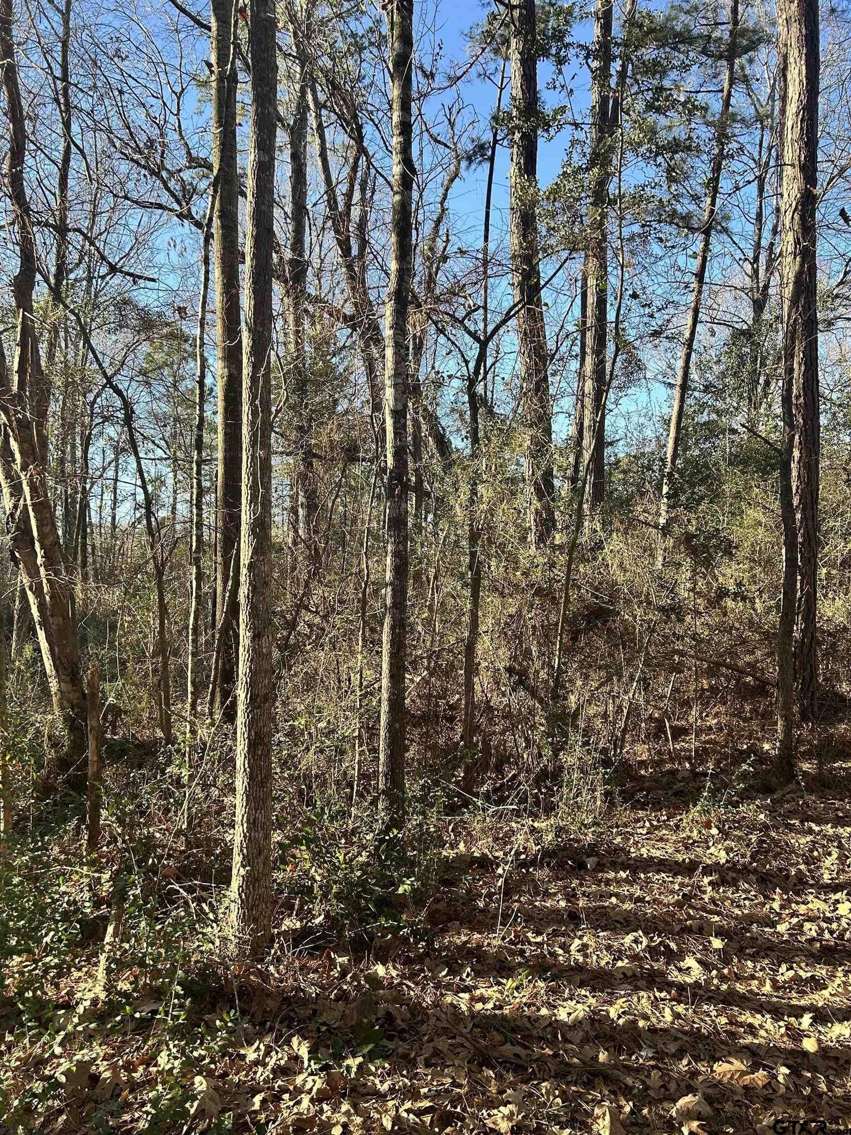 18 acres in Rusk County - photo 9