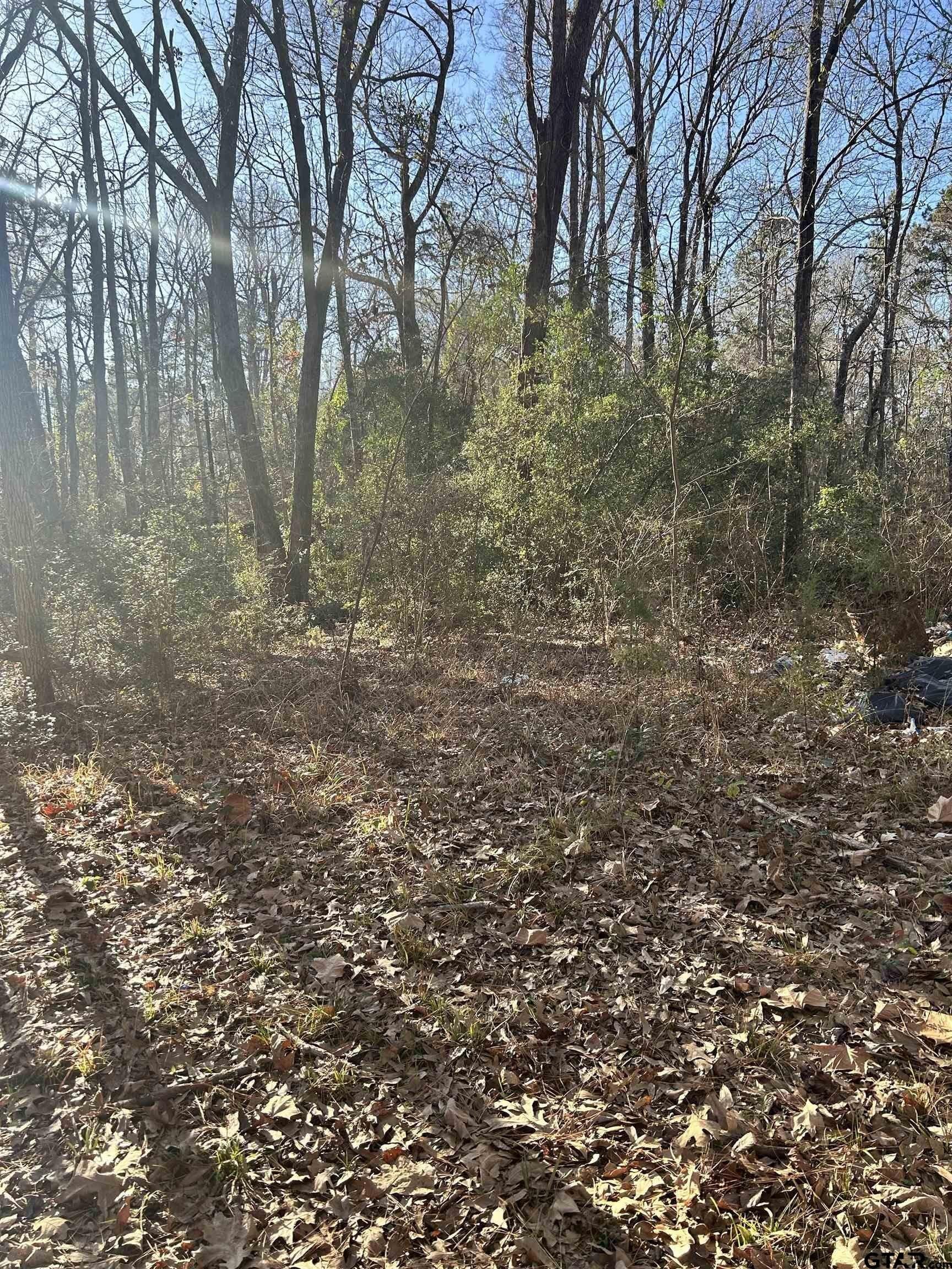 18 acres in Rusk County - photo 7