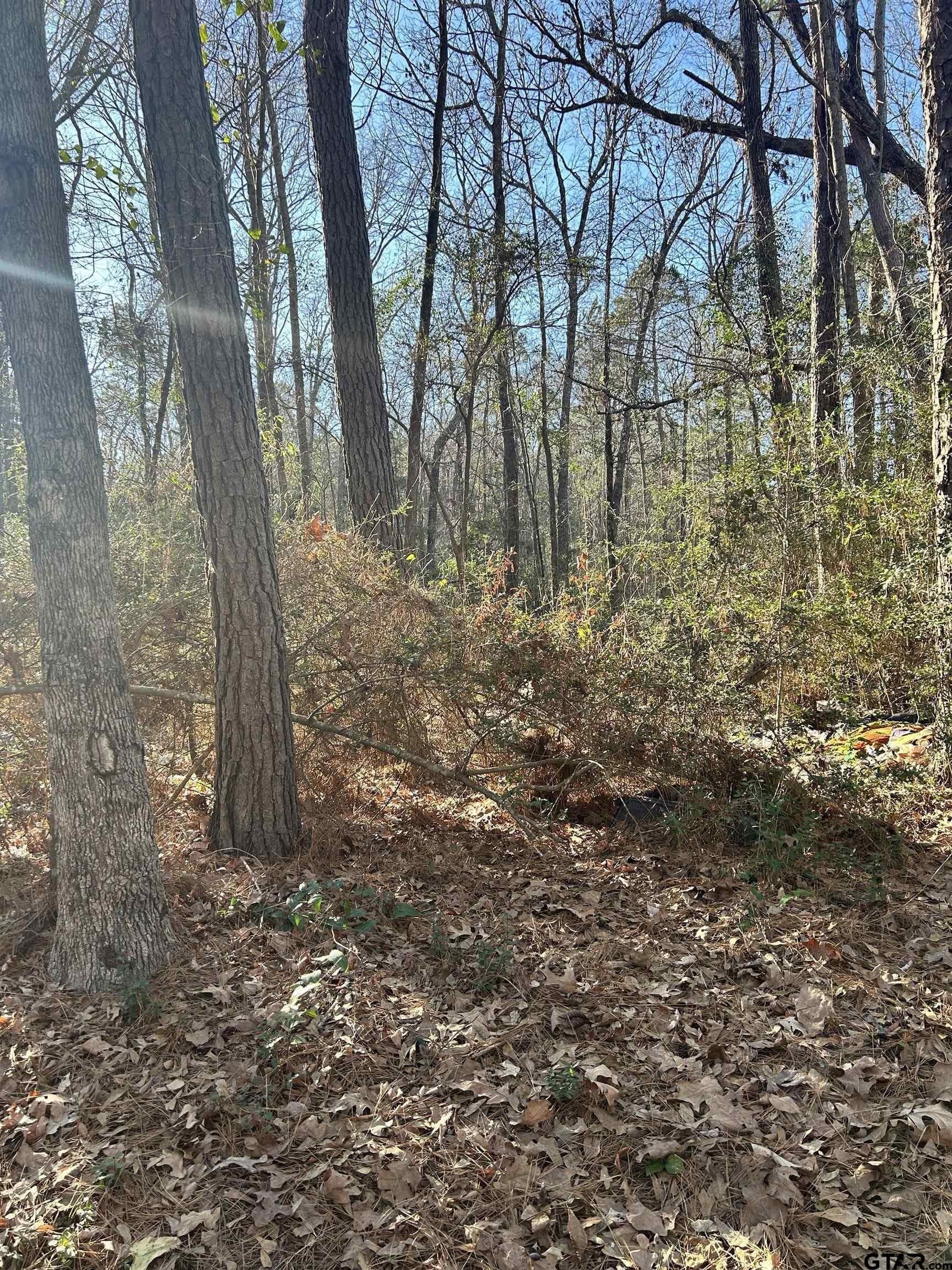 18 acres in Rusk County - photo 3