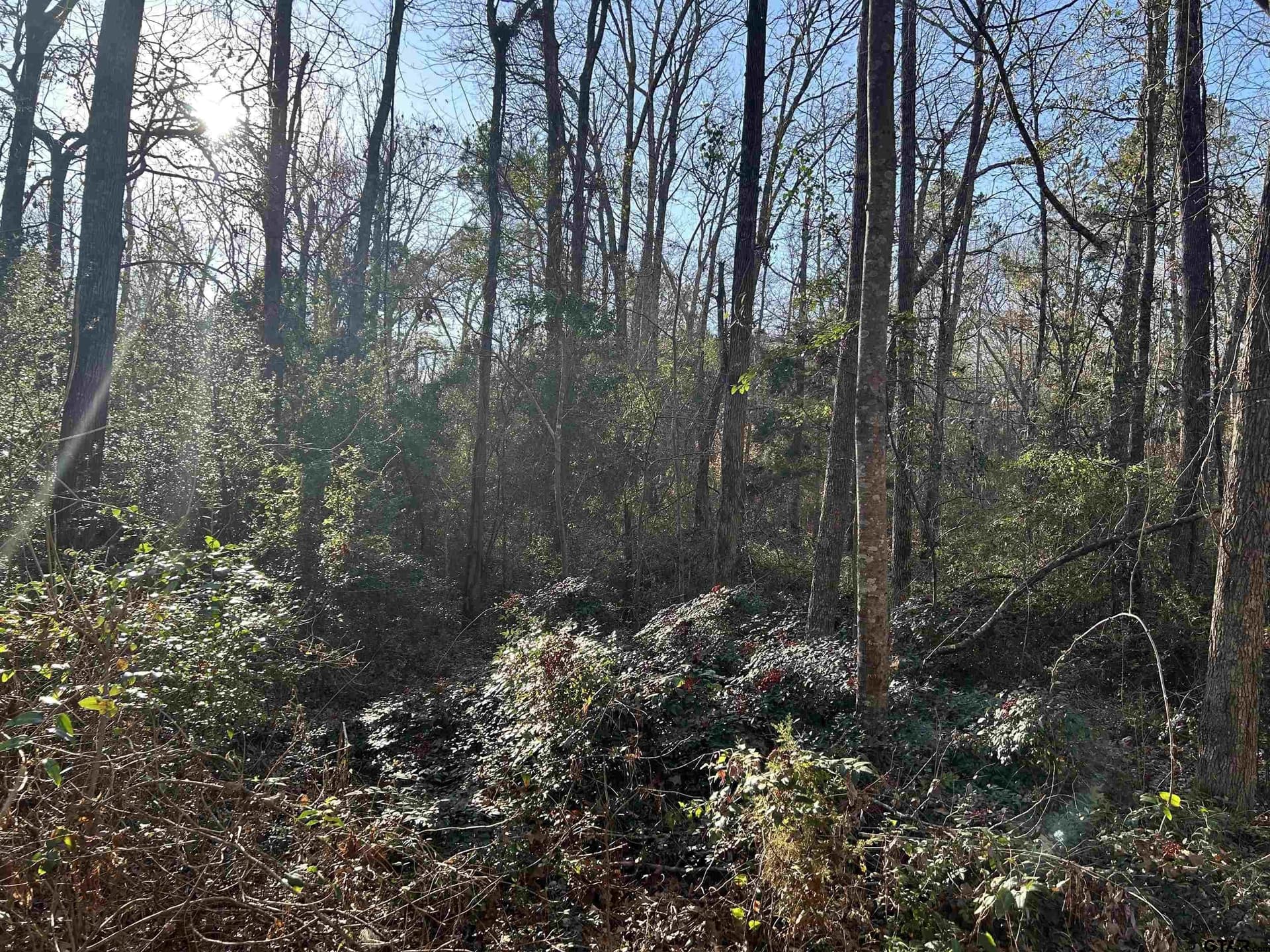 18 acres in Rusk County - photo 14