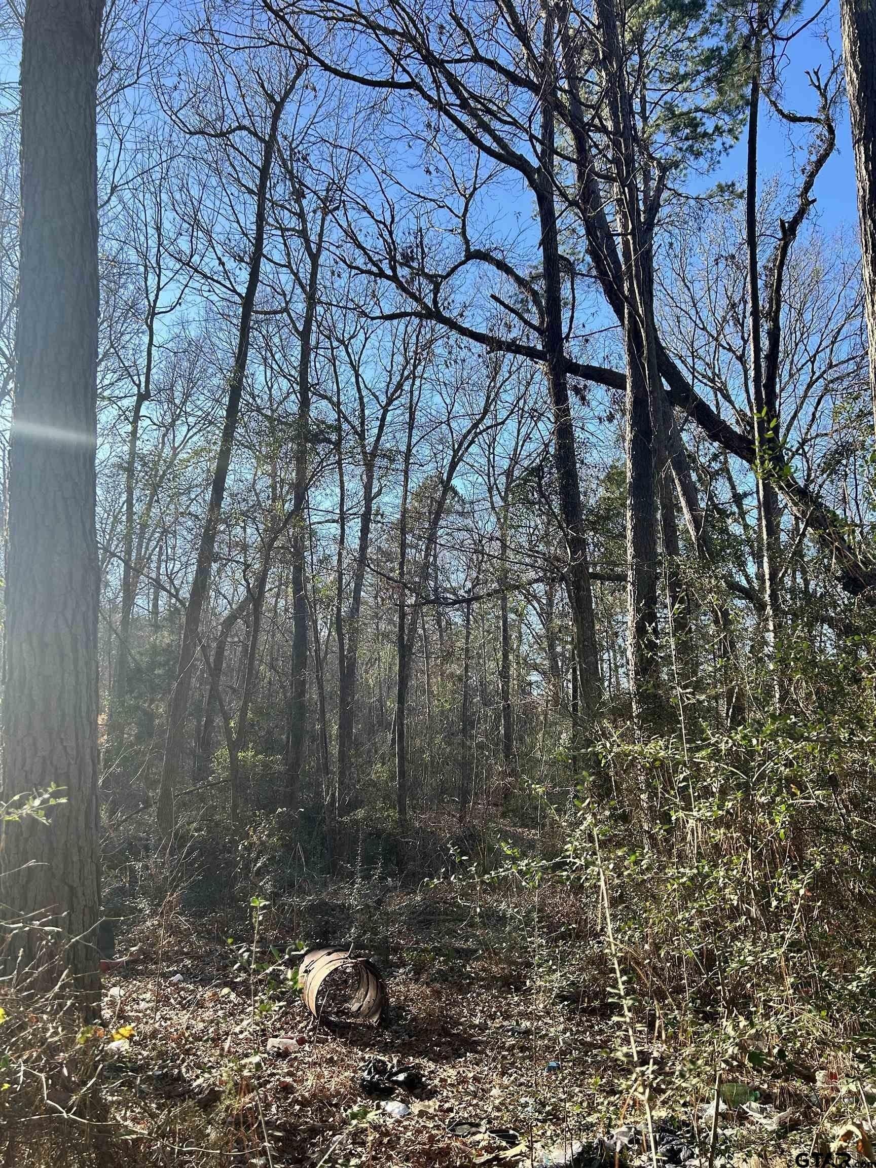 18 acres in Rusk County - photo 12