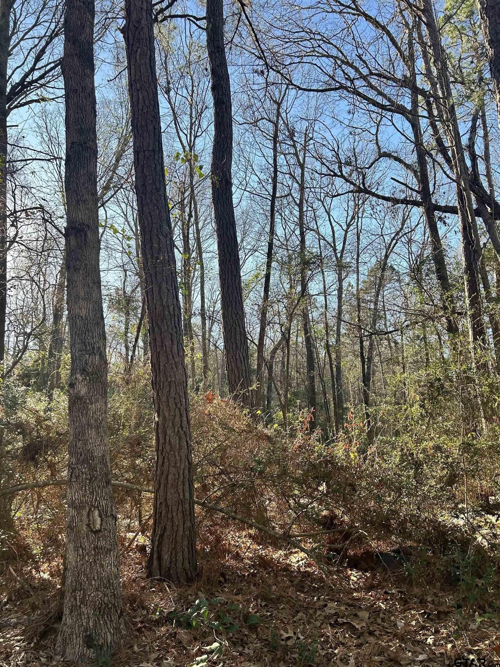 18 acres in Rusk County - photo 8