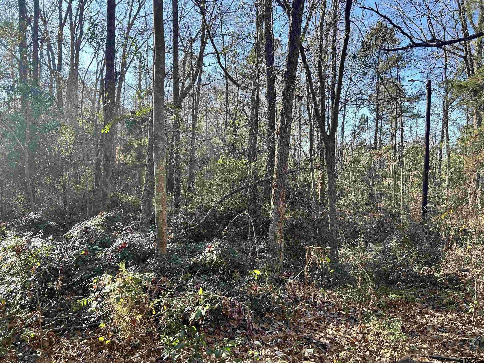 18 acres in Rusk County - photo 2