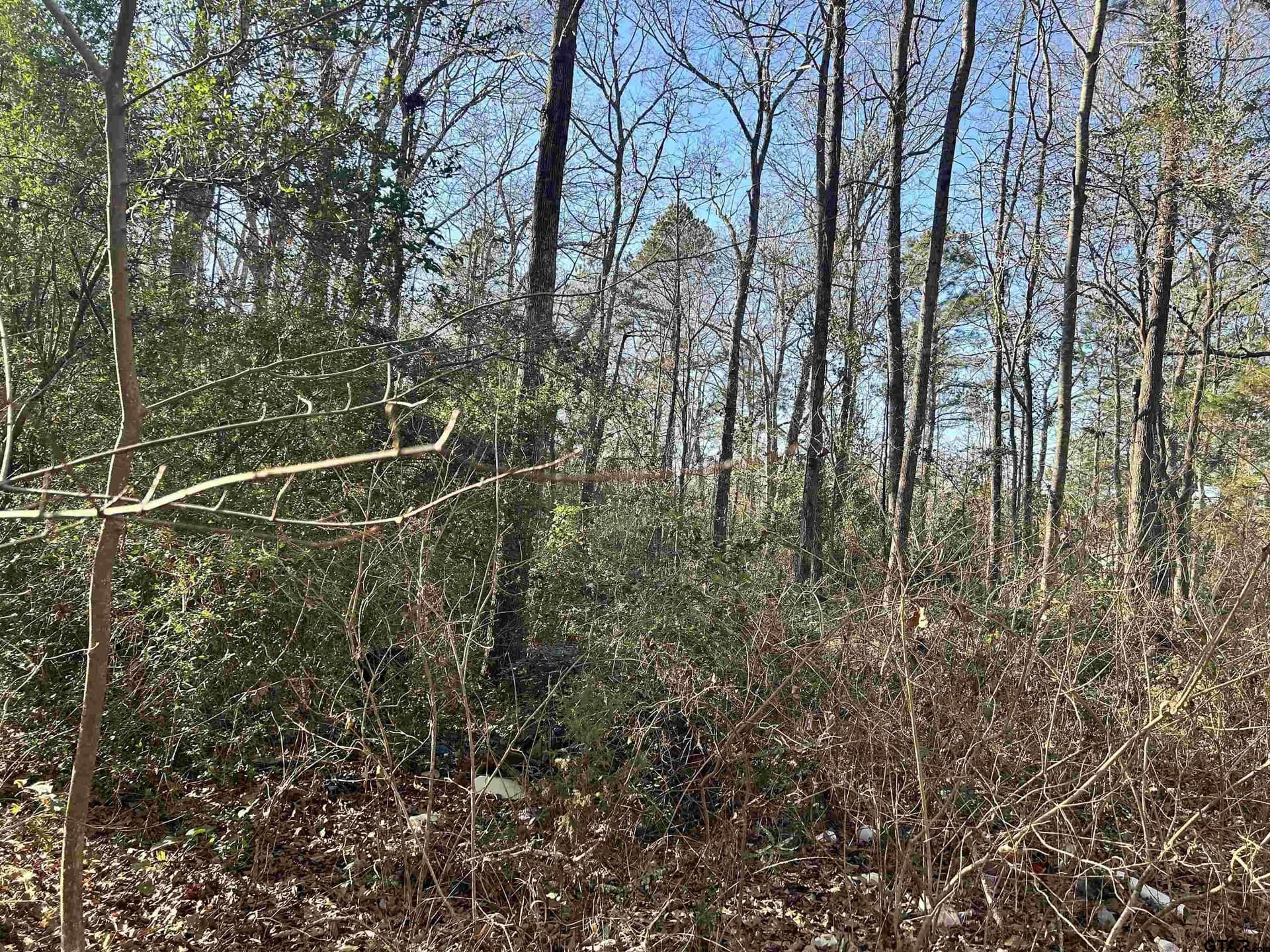 18 acres in Rusk County - photo 15