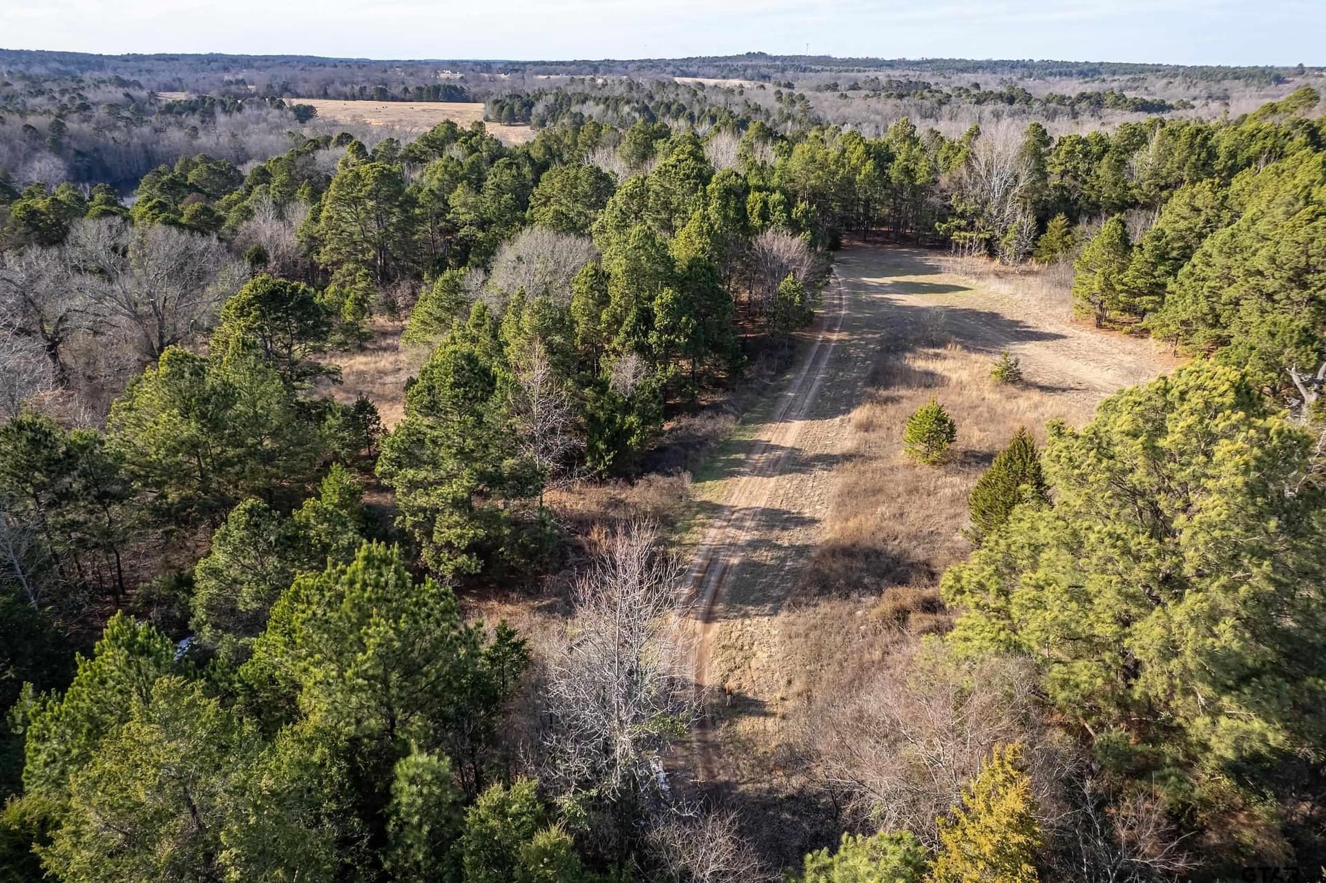 106.59 acres in Smith County - photo 13
