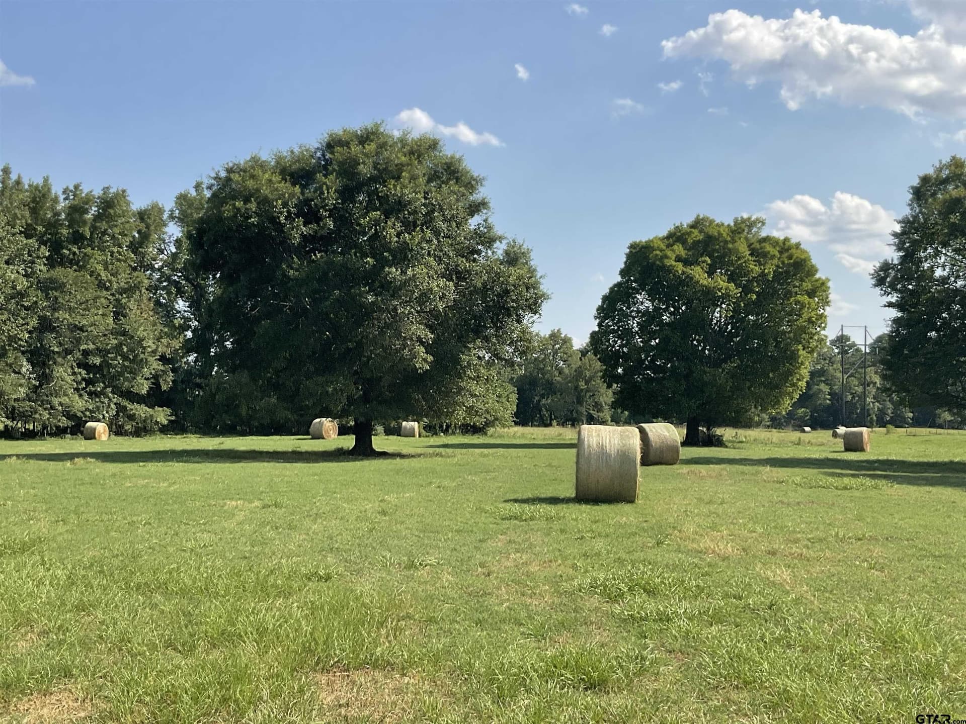85.51 acres in Cherokee County - photo 2