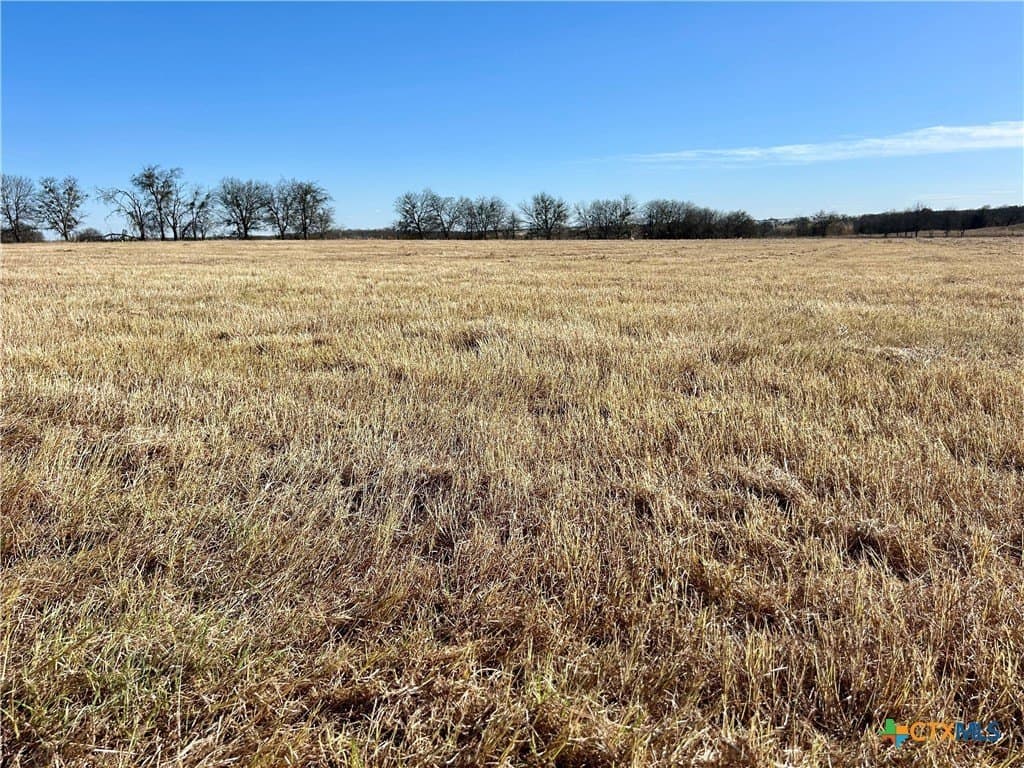 1.55 acres in Bell County - photo 3