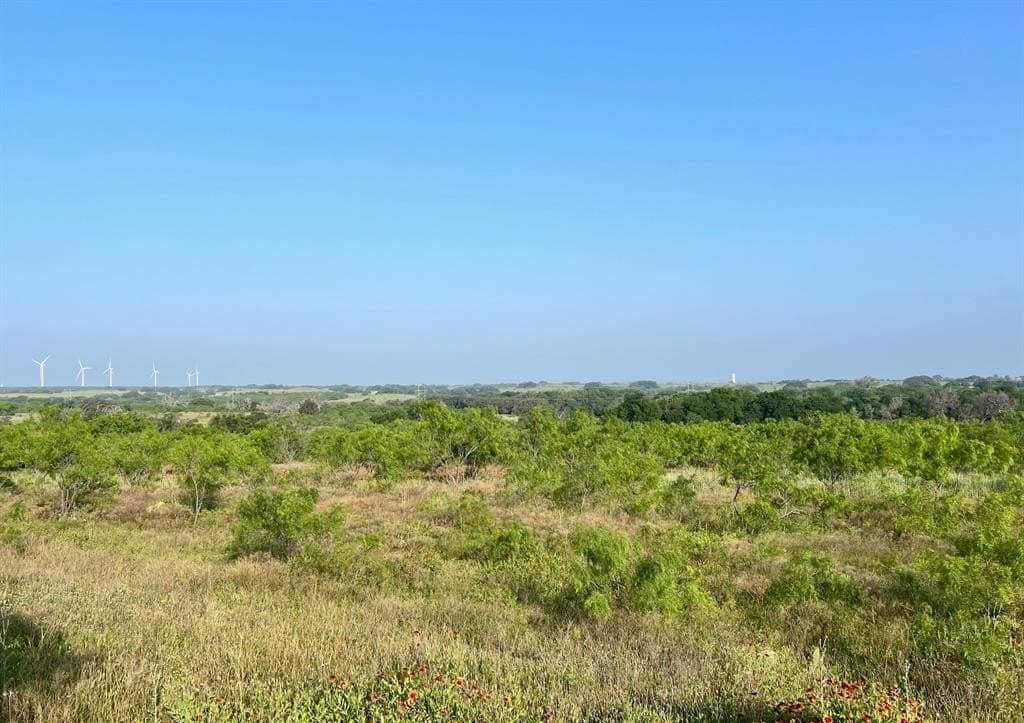30.57 acres in Comanche County - photo 5