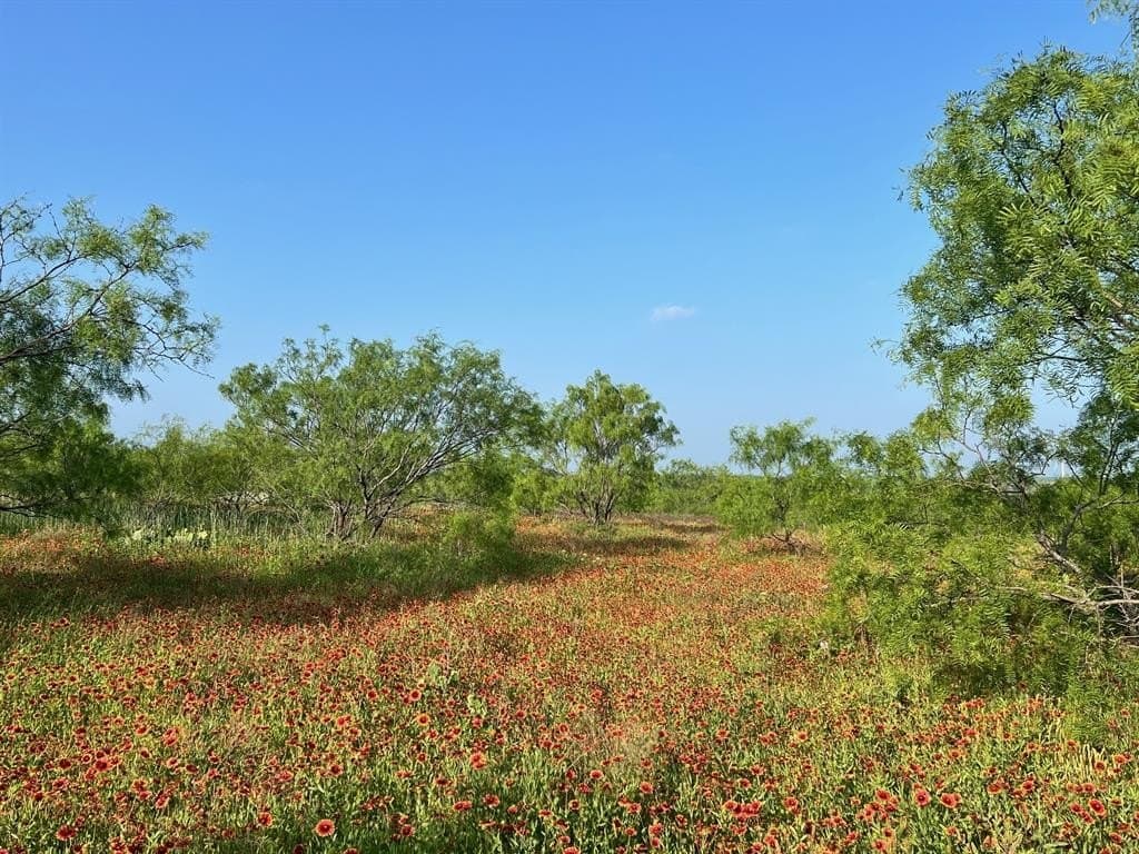 30.57 acres in Comanche County - photo 7
