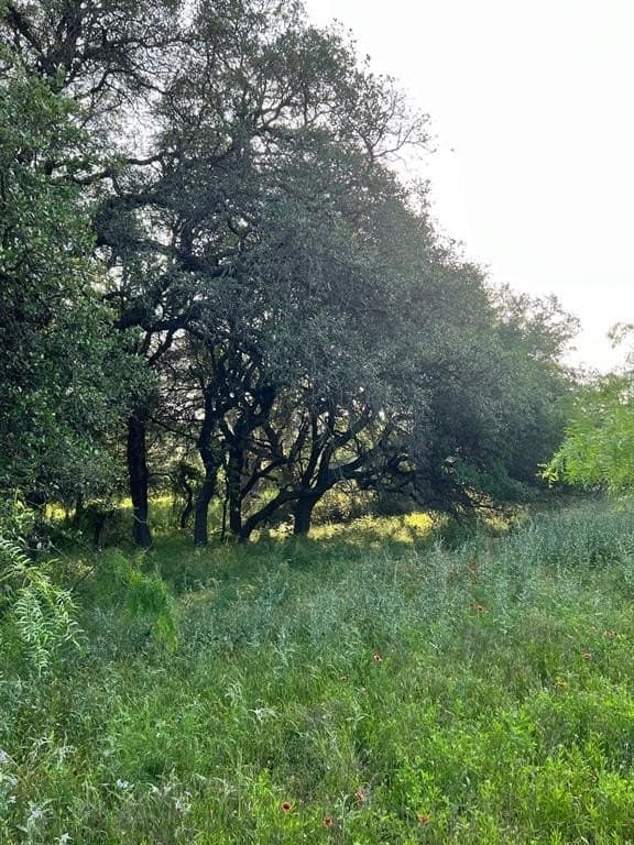 30.57 acres in Comanche County - photo 13