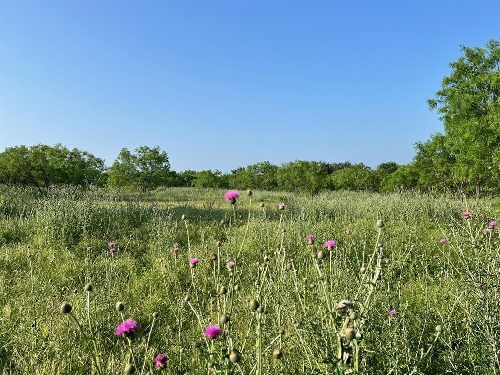 30.57 acres in Comanche County - photo 8