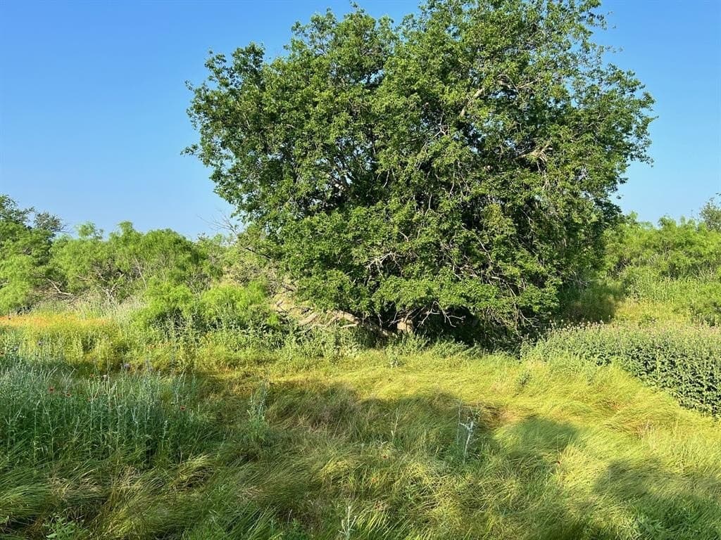 30.57 acres in Comanche County - photo 9