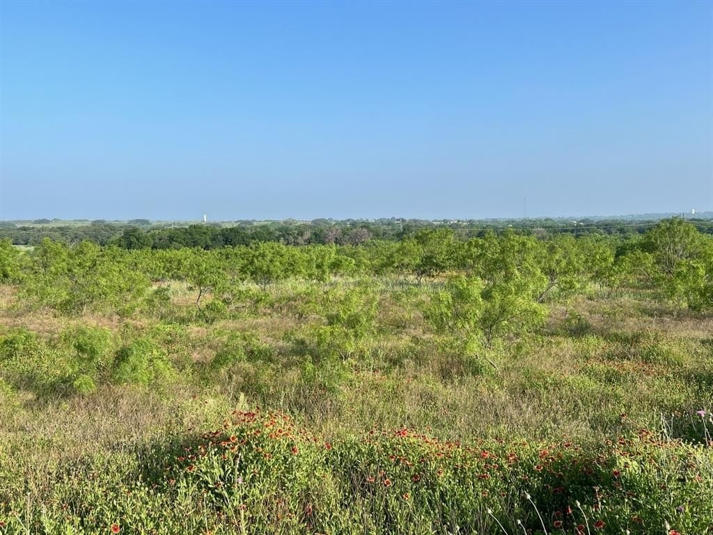 30.57 acres in Comanche County - photo 6