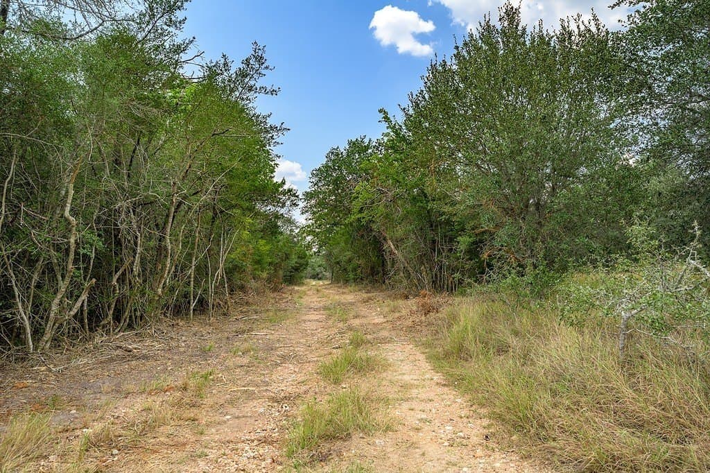 76.48 acres in Fayette County - photo 22
