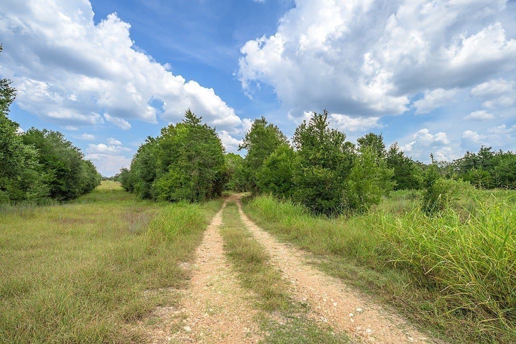 76.48 acres in Fayette County - photo 20