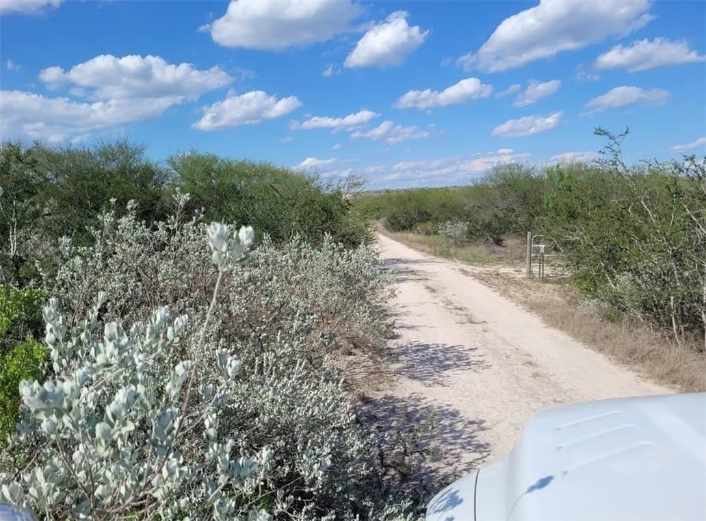 10.2 acres in Live Oak County - photo 9