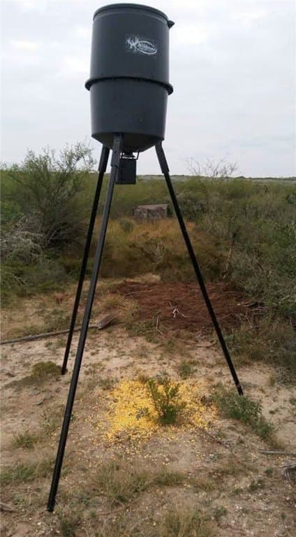 10.2 acres in Live Oak County - photo 6