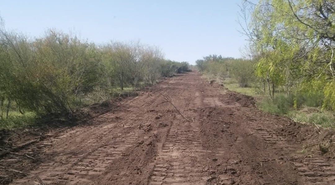 10.2 acres in Live Oak County - photo 8