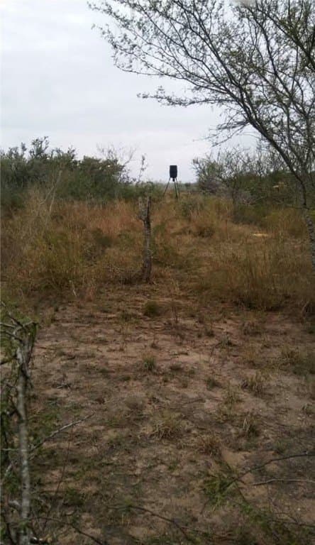 10.2 acres in Live Oak County - photo 5