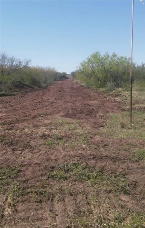 10.2 acres in Live Oak County - photo 4