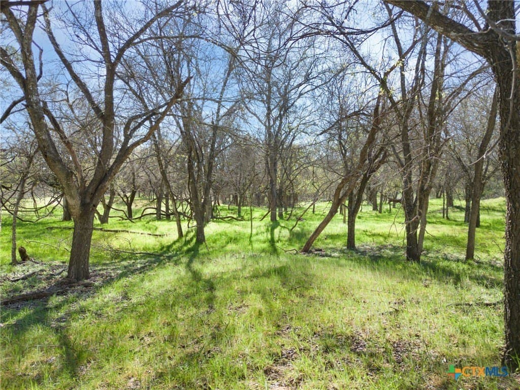 25 acres in Lampasas County - photo 19