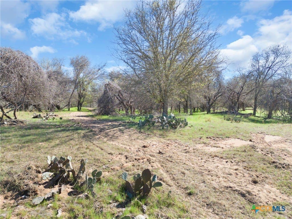 25 acres in Lampasas County - photo 18