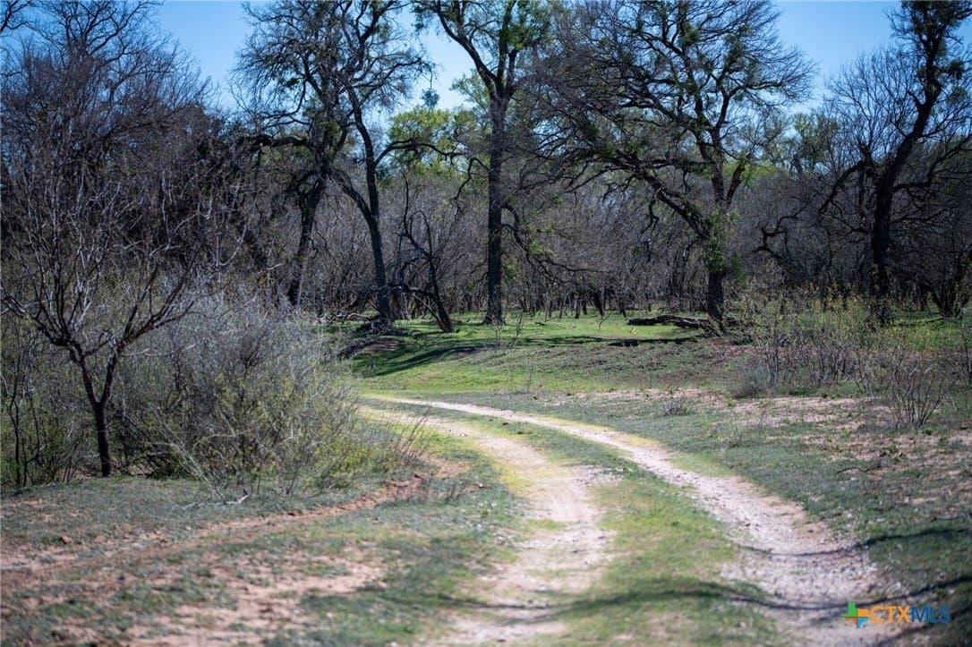 25 acres in Lampasas County - photo 24