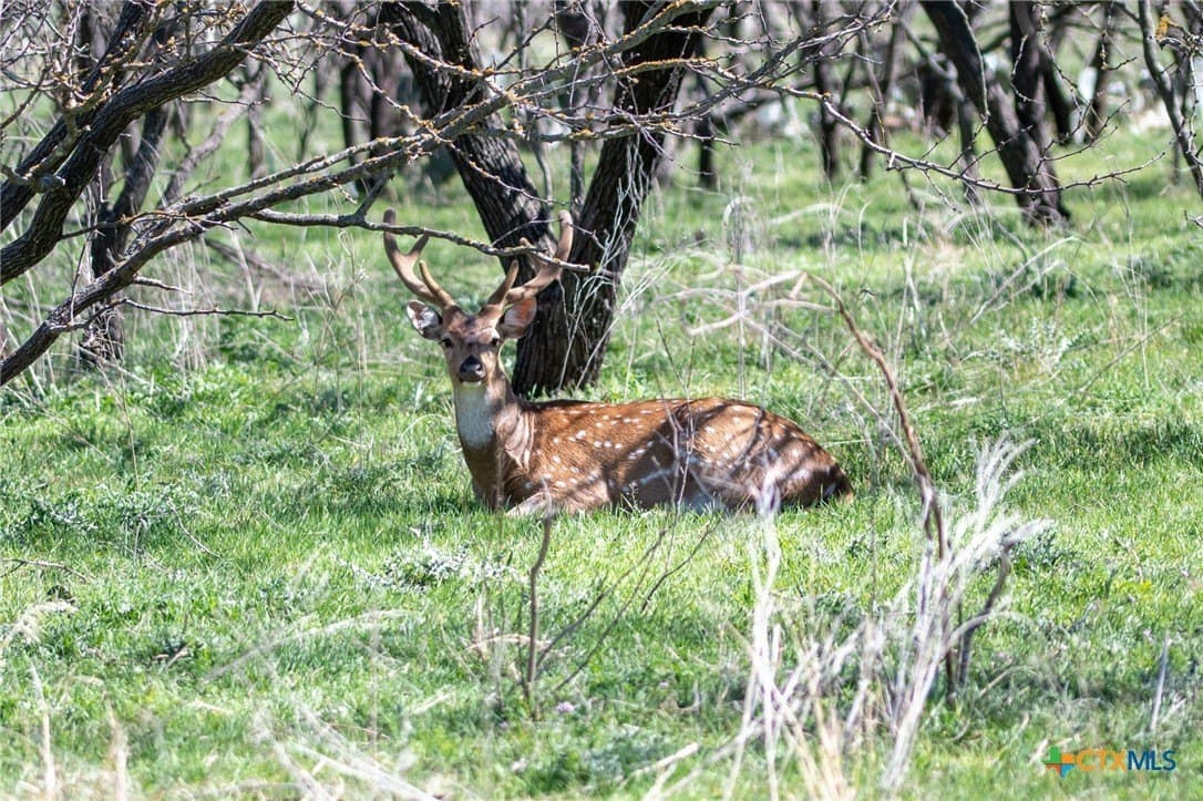 25 acres in Lampasas County - photo 6