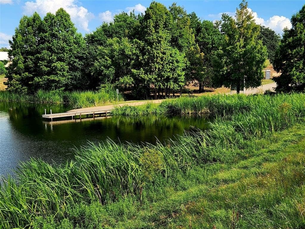1.08 acres in Henderson County - photo 11