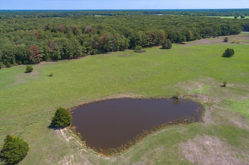 76.76 acres in Van Zandt County - photo 23