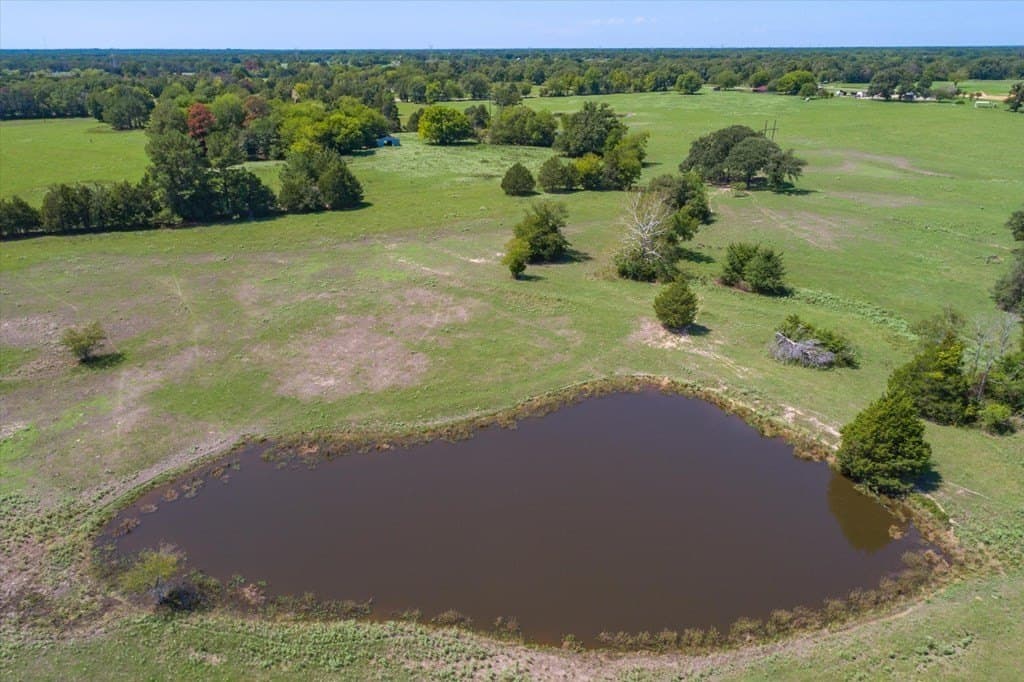 76.76 acres in Van Zandt County - photo 6