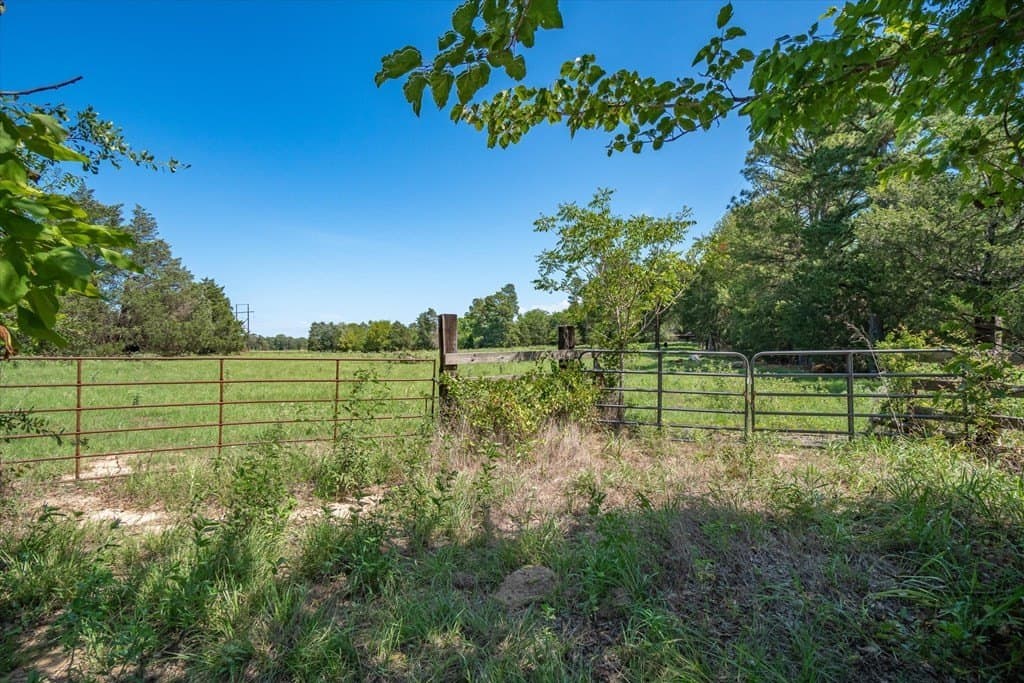 76.76 acres in Van Zandt County - photo 12