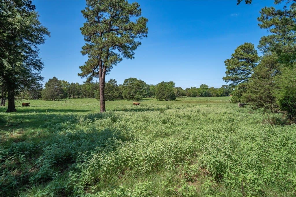 76.76 acres in Van Zandt County - photo 18
