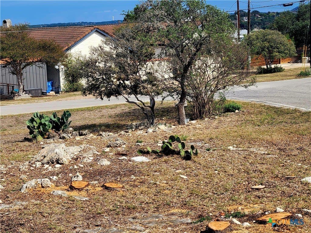 0.17 acres in Comal County - photo 3