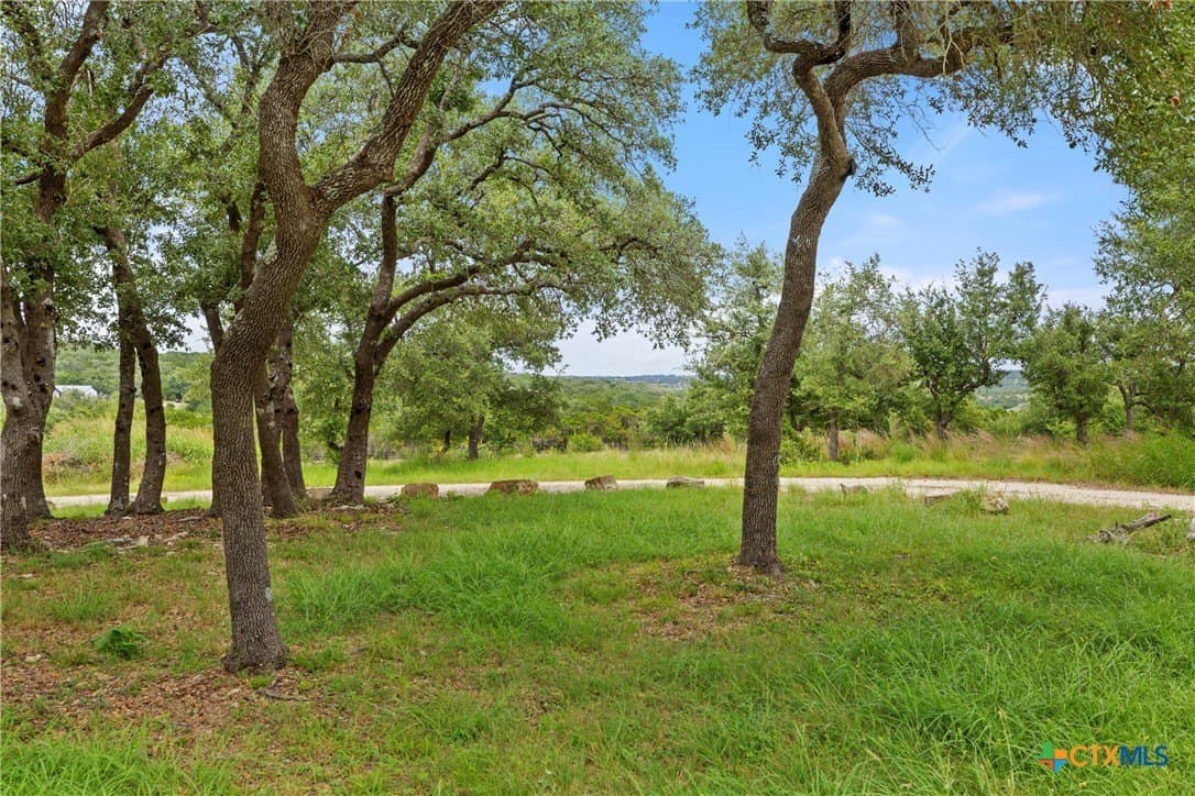 51.64 acres in Blanco County - photo 12