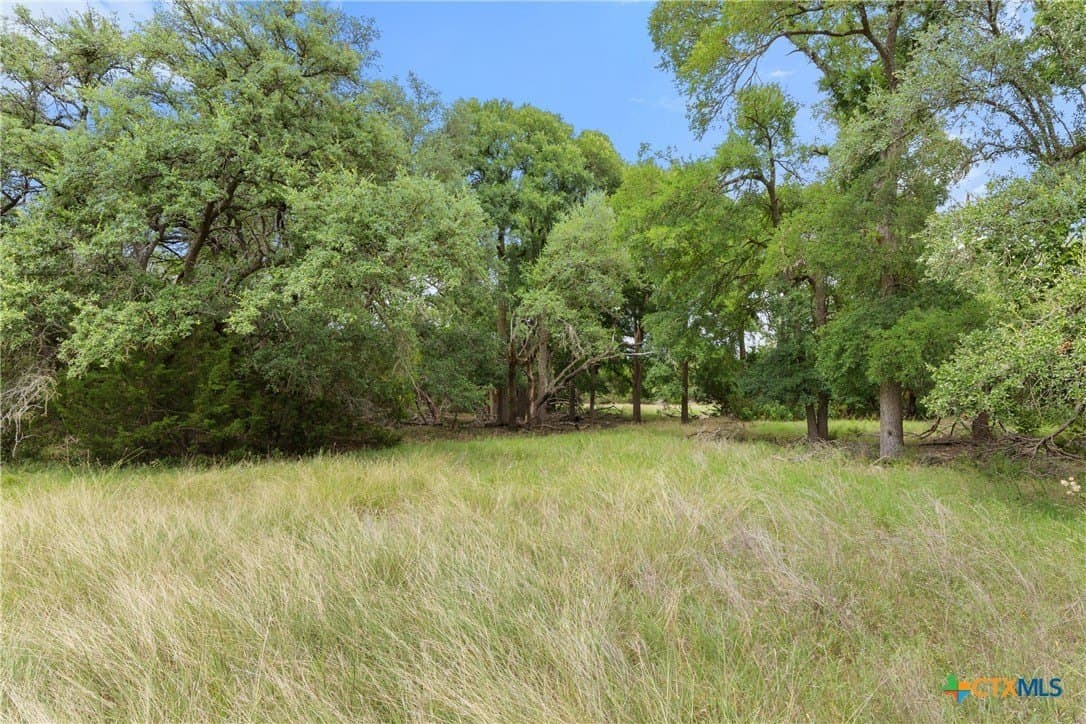 51.64 acres in Blanco County - photo 16
