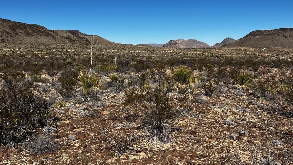 20 acres in Brewster County - photo 2