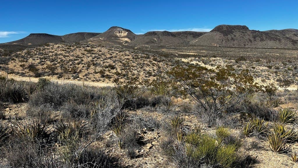 20 acres in Brewster County - photo 3