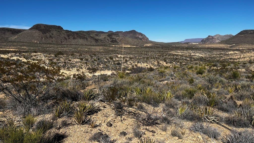 20 acres in Brewster County - photo 4