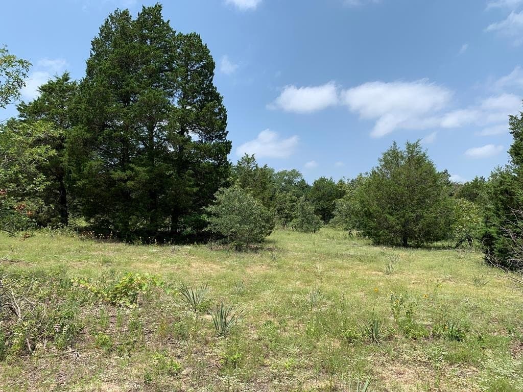 25.6 acres in HENDERSON County - photo 9