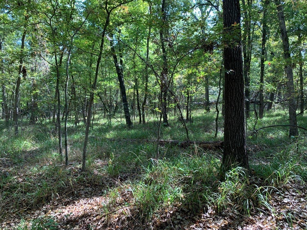 25.6 acres in HENDERSON County - photo 12